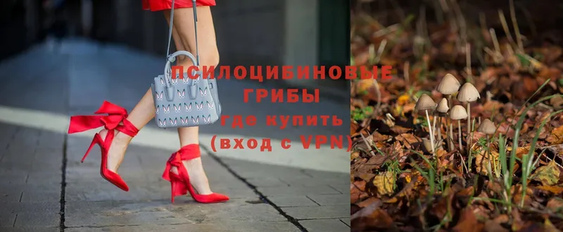 Псилоцибиновые грибы мухоморы  это формула  Новоаннинский 