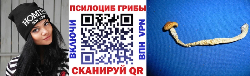 наркота  Новоаннинский  Галлюциногенные грибы прущие грибы 