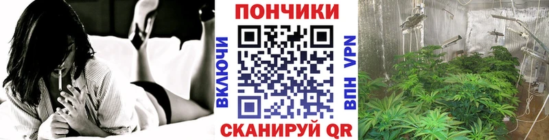 Бошки Шишки конопля Новоаннинский